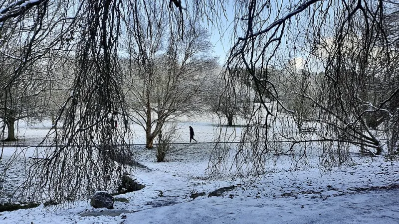 No Map, No Errands, No Idea: My Week of Walking in Circles